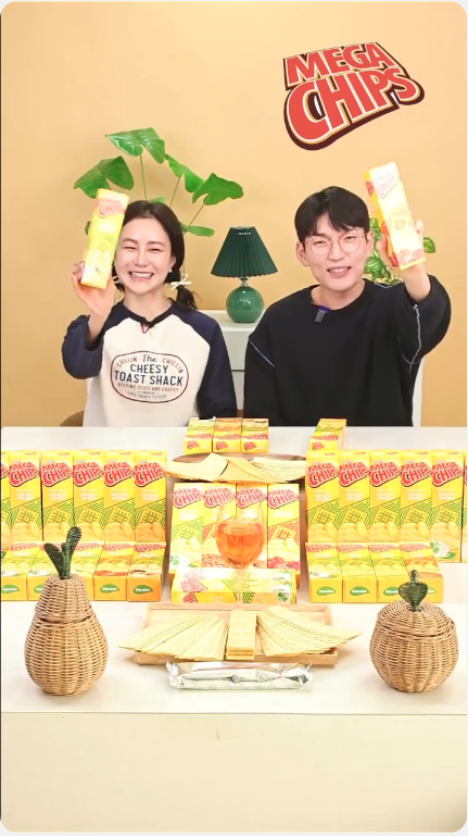 메가칩스